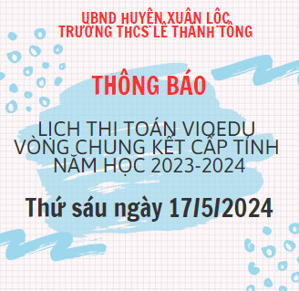 Thi Toán Vioedu vòng cấp tỉnh