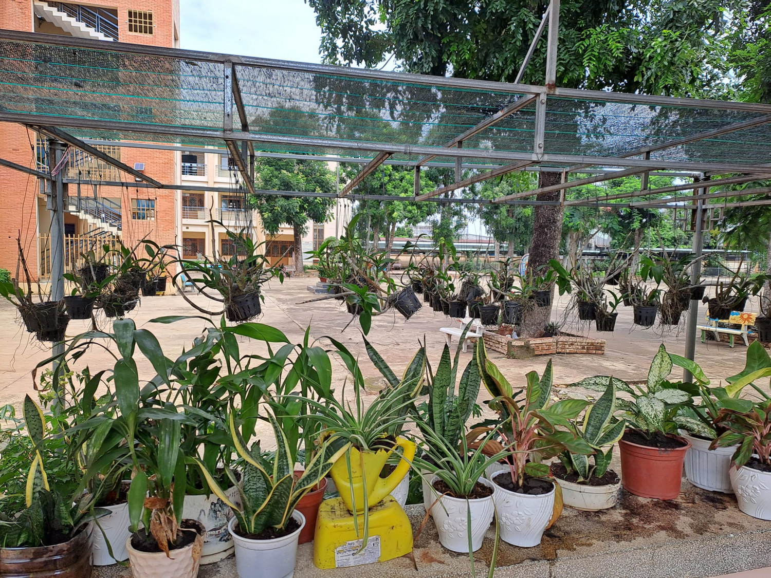 Ngày hè tại THCS Lê Thánh Tông